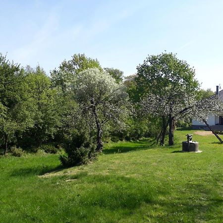 فيلا Happiness Country Retreat Bubel المظهر الخارجي الصورة